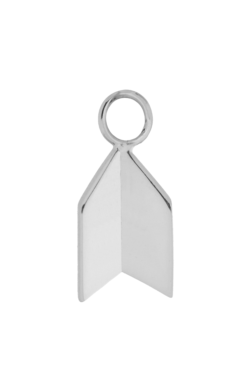 Silver Earrings with charms