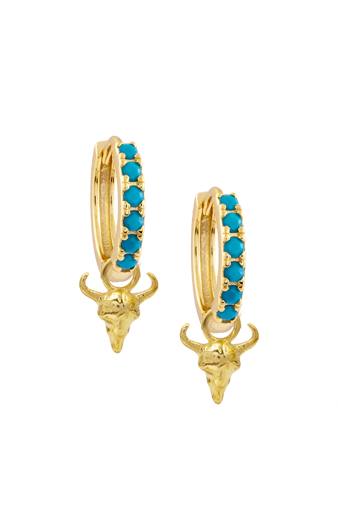 Navajo Charm